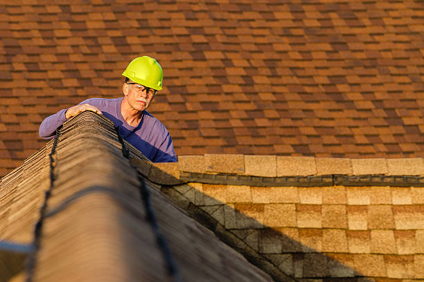 Best Roof Leak Repair  in Mendon, IL